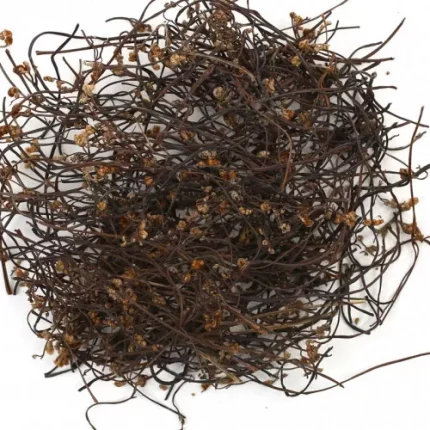 Yongin fernbrake disidratate 100g