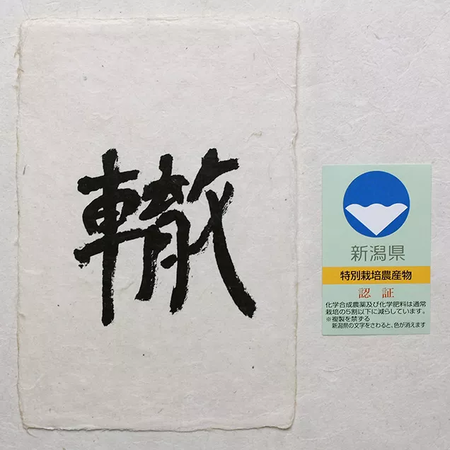 Wadachi mai riso giapponese koshihikari