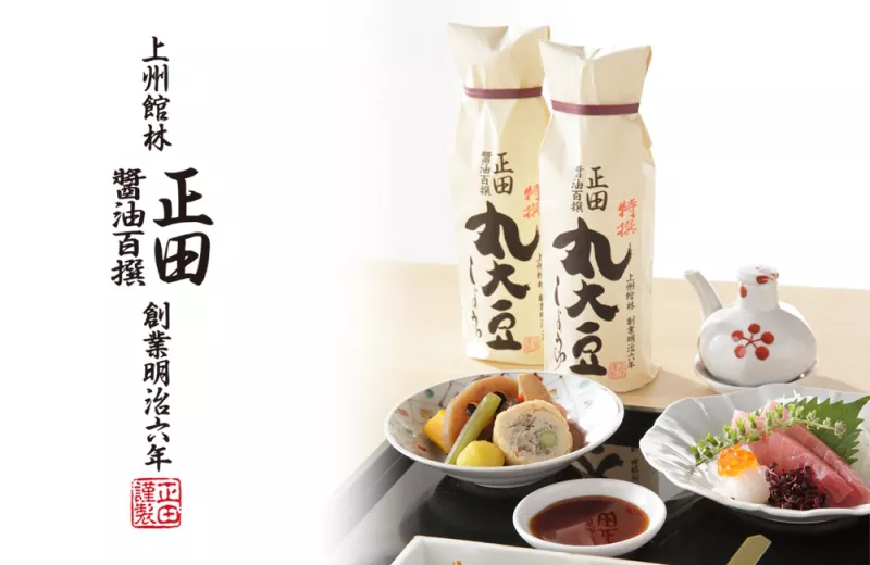 Shoda salsa di soia, non OGM, di prima qualità 500ml