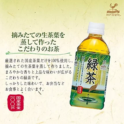 Tominaga Tè verde in bottiglia 500ml